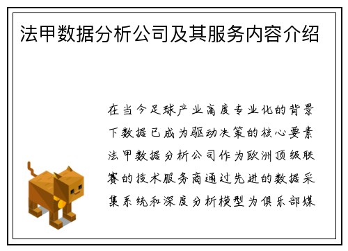 法甲数据分析公司及其服务内容介绍